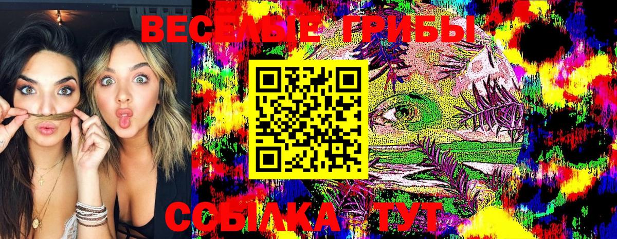 что такое наркотик  Галлюциногенные грибы Magic Shrooms  Вход с VPN  Грозный 